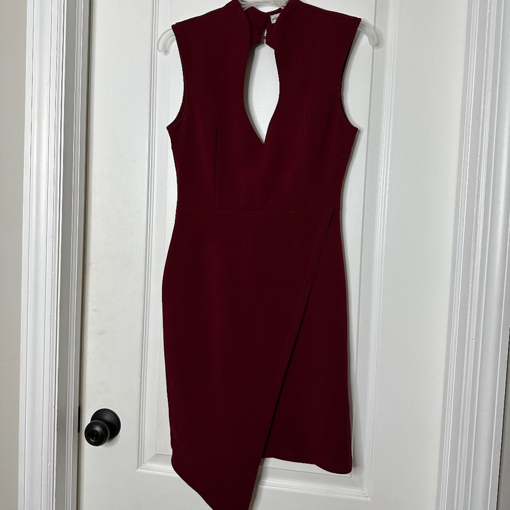 Almost Famous Magenta Bodycon Dress